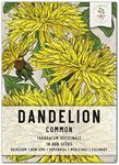 Seed Needs 10,000+ Common Dandelion Herb Seeds for Planting - Non-GMO, Heirloom & Untreated - Organically Grow a Home Grown Herb & Vegetable Garden (Bulk) Great for Salads