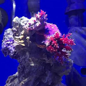 Slide 5