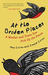 At the Broken Places: A Mother and Trans Son Pick Up the Pieces (Queer Action/Queer Ideas, a Unique Series Addressing Pivotal Issues Within the Lgbtq Movement)