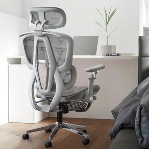 Mesh Ergonomic Home Office Chair, 90-135° Tilt Lock, High Back Computer Gaming Chair with Adjustable Lumbar Support,Headrest,6D Armrests, Backrest, Retractable Footrest (Executive, Silver)