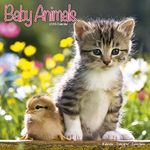 Baby Animals Calendar - 2016 Wall calendars - Animal Calendar - Monthly Wall Calendar by Avonside