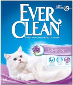 Ever Clean