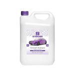 K2SQUARE Wash Shampoo -pH Neutral Soap Formula For Safe, Spot Free Cleaning - Thick, Luxurious Suds That Always Rinses Clean - Ultra Slick Formula That Wont Scratch or Leave Water Spots(Purple)