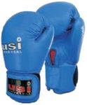 USI Immortal Reliance Punching Bag Gloves, L (Blue)