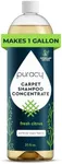 Puracy Professional Carpet Cleaner Machine Detergent, 4x Concentrated Upholstery Cleaner, Natural Carpet Shampoo, Pet Stain Remover & Deodorizer, Makes 20 Gallons of Cleaning Solution, 25 Ounce