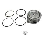 GardenPal 13101-ZE0-000 Piston and Ring Set Compatible with Honda GX120