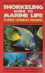 Snorkeling Guide to Marine Life Flo