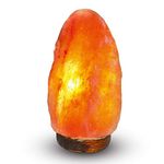 Salt Lamp Price