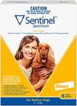 Sentinel S