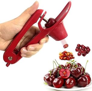 Cherry Pitter Tool - Heavy-Duty Stainless Steel Pitting Tool, Portable Cherries Corer Stoner Seed Tool with Lock Design, Fruit Pit Remover for Cherry Jam (Red)