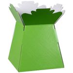 Inerra Florist Boxes - Pack of 2 - Living Vase for Flowers, Hand Tied Bouquet Box Making (Lime Green)