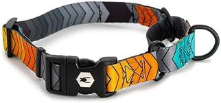 Wolfgang Premium Martingale Dog Collar for Large Dogs, Durable & Easy to Clean Nylon Dog Collar with Quick Clip Buckles, for Training & Daily Use, Made in USA, ChevTech Print, (1 Inch x 18-22 Inch)