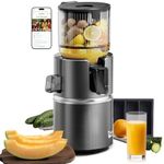 Anybear Cold Press Juicer with 4.9" Large Feed Chute, 350W Masticating Juicer Machines with Dual Slow-Squeezing Technology for Whole Fruits & Veggies with High Yield | BPA-Free Tritan (Gray)