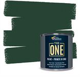 THE ONE Paint & Primer: Multi Surface Paint, Cabinet Paint, Front Door, Walls, Bathroom, Kitchen, Tile Paint Quick Drying Paint for Interior/Exterior (Green Satin, 250ml.)