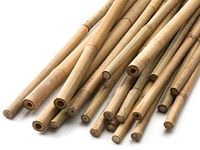 HomeZone® 60cm Bamboo Canes Absolute Gardeners Essential Strong Durable and Long Lasting Garden Accessory Plant Support (20, 60cm)