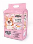 DOGTOWN Goodies Traning Pads| Size - L |Dog Training Pads/Training Pee and Potty Pads with Quick Drying Surface and Absorbent Core/Suitable for Small/Large Breed Puppies (Pack of 2)