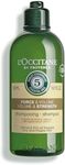 L'OCCITANE Volume & Strength Shampoo 300 ml | Silicone-Free | Vegan & 99% Readily Biodegradable | Enriched with Essential Oils | Luxury & Clean Beauty Hair Care for All Hair Types