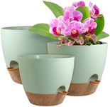 WSMKSZ Big Self Watering Pots 12/10