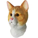 Latex Cat Mask Pussycat Fancy Dress Animal Tabby Mask Costume Props Stag Party Halloween (Orange White Cat Mask)