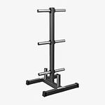 DMoose Weight Plate Tree Rack with 