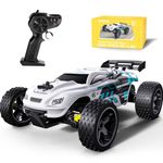 Tecnock RC Car Remote Control Car for Kids, 1:18 High Speed 20 KM/H 2WD RC Buggy, 2.4GHz Off Road Racing Car with Two Rechargeable Batteries, Gift for Boys and Girls (White)