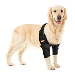 NeoAlly Dog Elbow Brace Protector Pads for Canine Elbow and Shoulder Support Elbow Hygroma, Dysplasia, Osteoarthritis, Elbow Calluses, Pressure Sores and Shoulder Dislocation - L Pair