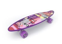 SHRBI 23”X6” Inch Guide Wheel Cruiser Starter Skateboard Foreign Child Plate Flash Wheel Skateboard Lighted Longboard Skateboard Skateboards for Kids Beginner Skateboard (Purple)