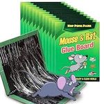 Glue Traps for Mice and Rats 12 Pac