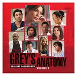 Grey's Anatomy: Volume 2