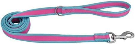 Coastal - Pro Reflective Dog Leash 