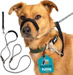 Total Pet Figure of 8 Dog Lead - An