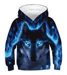 JSJCHENG 3D Animal Print Hoodies for Boys Girls Hooded Pullover Sweatshirts for 4-15 Years(Wolf Blue, 11-13 Years)