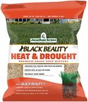 Jonathan Green (10514) Black Beauty