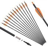 Carbon Arrows For Recurve Bows