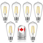 WENSHCA Dimmable Vintage LED Edison Bulbs - 6W (60W Equivalent) - High Brightness Daylight White 5000K - ST58 Antique LED Filament Bulbs with 80+ CRI - E26 Medium Base - - Clear Glass - Pack of 6