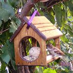 Birdfeeder SPARROW