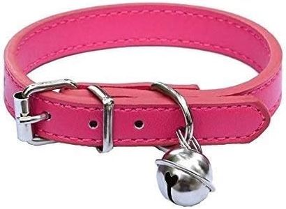 Pet Collar