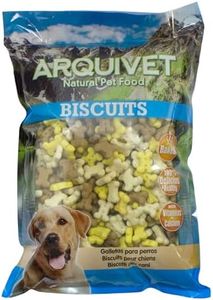 Arquivet, 