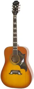 Epiphone D