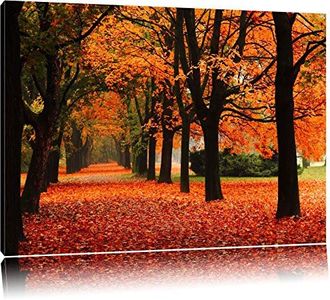 Avenue des