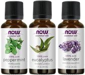 3-Pack Variety of NOW Essential Oils: Pure & Natural Blend - Lavender, Eucalyptus, Peppermint