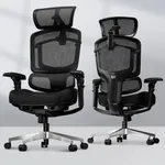 FLEXISPOT ErgoX-PRO Ergonomic Offic