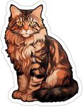 Maine Coon