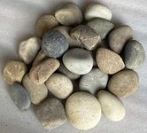 Stonestories River Pebbles Rocks for Garden, Landscaping, Aquarium and Home Decor (100 kgs, Medium 1-2")