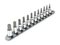 TEKTON 3/8 Inch Drive Torx Bit Socket Set with Rail, 12-Piece (T10-T60) | SHB91103