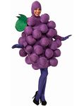 GRAPES PURPLE ADULT COSTUME