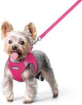 rabbitgoo Dog Harness Small Sized a