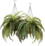 OakRidge Fully Assembled Artificial Fern Hanging Basket Set of 2 – Indoor/Outdoor Use – 23 ½” L