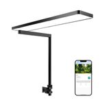 FZONE Solo APP Controlled Aquarium Light, WRGB Full Spectrum Dimmable Fish Tank Light for Lush Plant Growth,Vibrant Colors,Sunrise/Sunset/Weather Modes,Fits 20-50cm Nano,Planted, Shrimp Tank
