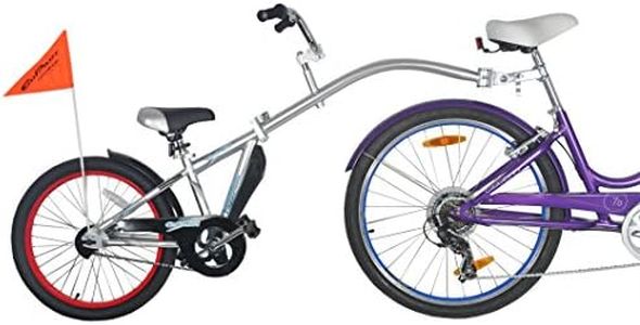 WeeRide Child Baby Bike Seat Co-Pilot Tagalong Trailer, Silver